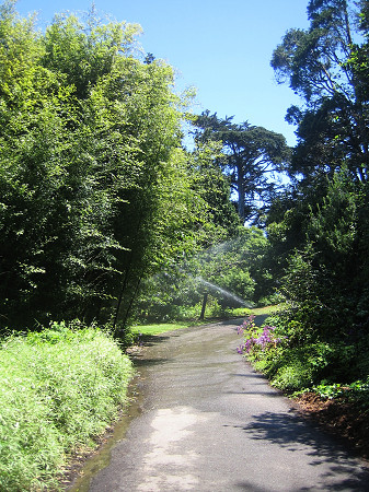 Ấn tượng 3 thắng cảnh tuyệt đẹp ở San Francisco, Mỹ